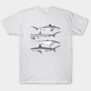 Whale - Whales Vintage Image T-Shirt